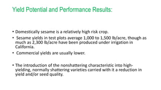 Yield Potential and Performance Results:
• Domestically sesame is a relatively high risk crop.
• Sesame yields in test plots average 1,000 to 1,500 lb/acre, though as
much as 2,300 lb/acre have been produced under irrigation in
California.
• Commercial yields are usually lower.
• The introduction of the nonshattering characteristic into high-
yielding, normally shattering varieties carried with it a reduction in
yield and/or seed quality.
 