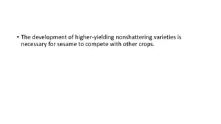 • The development of higher-yielding nonshattering varieties is
necessary for sesame to compete with other crops.
 