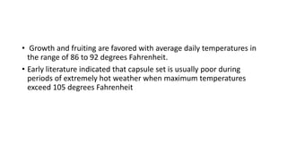 • Growth and fruiting are favored with average daily temperatures in
the range of 86 to 92 degrees Fahrenheit.
• Early literature indicated that capsule set is usually poor during
periods of extremely hot weather when maximum temperatures
exceed 105 degrees Fahrenheit
 