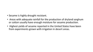 • Sesame is highly drought resistant.
• Areas with adequate rainfall for the production of dryland sorghum
or cotton usually have enough moisture for sesame production.
• Highest yields of sesame reported in the United States have been
from experiments grown with irrigation in desert areas.
 