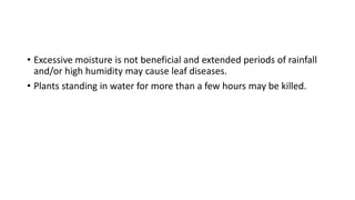 • Excessive moisture is not beneficial and extended periods of rainfall
and/or high humidity may cause leaf diseases.
• Plants standing in water for more than a few hours may be killed.
 