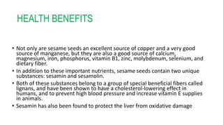 HEALTH BENEFITS
• Not only are sesame seeds an excellent source of copper and a very good
source of manganese, but they are also a good source of calcium,
magnesium, iron, phosphorus, vitamin B1, zinc, molybdenum, selenium, and
dietary fiber.
• In addition to these important nutrients, sesame seeds contain two unique
substances: sesamin and sesamolin.
• Both of these substances belong to a group of special beneficial fibers called
lignans, and have been shown to have a cholesterol-lowering effect in
humans, and to prevent high blood pressure and increase vitamin E supplies
in animals.
• Sesamin has also been found to protect the liver from oxidative damage
 