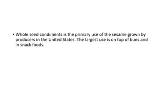 • Whole seed condiments is the primary use of the sesame grown by
producers in the United States. The largest use is on top of buns and
in snack foods.
 