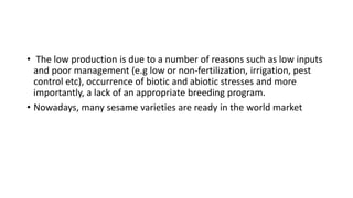 • The low production is due to a number of reasons such as low inputs
and poor management (e.g low or non-fertilization, irrigation, pest
control etc), occurrence of biotic and abiotic stresses and more
importantly, a lack of an appropriate breeding program.
• Nowadays, many sesame varieties are ready in the world market
 