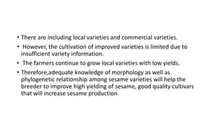 • There are including local varieties and commercial varieties.
• However, the cultivation of improved varieties is limited due to
insufficient variety information.
• The farmers continue to grow local varieties with low yields.
• Therefore,adequate knowledge of morphology as well as
phylogenetic relationship among sesame varieties will help the
breeder to improve high yielding of sesame, good quality cultivars
that will increase sesame production
 