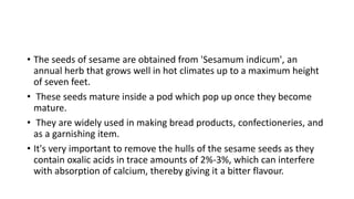 • The seeds of sesame are obtained from 'Sesamum indicum', an
annual herb that grows well in hot climates up to a maximum height
of seven feet.
• These seeds mature inside a pod which pop up once they become
mature.
• They are widely used in making bread products, confectioneries, and
as a garnishing item.
• It's very important to remove the hulls of the sesame seeds as they
contain oxalic acids in trace amounts of 2%-3%, which can interfere
with absorption of calcium, thereby giving it a bitter flavour.
 