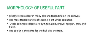 MORPHOLOGY OF USEFUL PART
• Sesame seeds occur in many colours depending on the cultivar.
• The most traded variety of sesame is off-white coloured.
• Other common colours are buff, tan, gold, brown, reddish, gray, and
black.
• The colour is the same for the hull and the fruit.
 