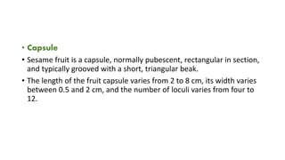 • Capsule
• Sesame fruit is a capsule, normally pubescent, rectangular in section,
and typically grooved with a short, triangular beak.
• The length of the fruit capsule varies from 2 to 8 cm, its width varies
between 0.5 and 2 cm, and the number of loculi varies from four to
12.
 