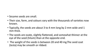 • Sesame seeds are small.
• Their size, form, and colours vary with the thousands of varieties now
known.
• Typically, the seeds are about 3 to 4 mm long by 2 mm wide and 1
mm thick.
• The seeds are ovate, slightly flattened, and somewhat thinner at the
eye of the seed (hilum) than at the opposite end.
• The weight of the seeds is between 20 and 40 mg.The seed coat
(testa) may be smooth or ribbed.
 