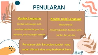 PENULARAN
Kontak Langsung
Kontak kulit dengan kulit.
misalnya berjabat tangan, tidur
bersama, dan hubungan seksual
Kontak Tidak Langsung
Melalui benda.
misalnya pakaian, handuk, sprei,
bantal, dan lain-lain
Penularan oleh Sarcoptes scabiei yang
sudah dibuahi atau yang berbentuk larva
 