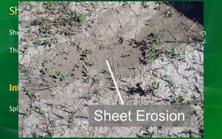 Sheet erosion is considered to be a uniform removal of soil in thin
layers from sloping land, resulting from sheet or overland flow.
This type of erosion rarely occurs because minute channels (rills)
form almost simultaneously with the first detachment and
movement of soil particles.
Splash and sheet erosion are sometimes combined and called
interrill erosion.
 