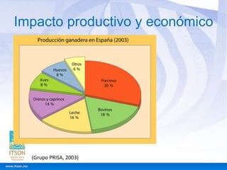 Impacto productivo y económico

(Grupo PRISA, 2003)

 