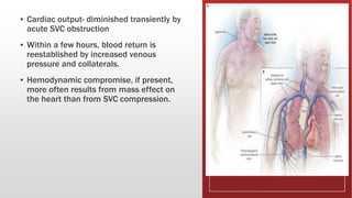 ▪ Cardiac output- diminished transiently by
acute SVC obstruction
▪ Within a few hours, blood return is
reestablished by increased venous
pressure and collaterals.
▪ Hemodynamic compromise, if present,
more often results from mass effect on
the heart than from SVC compression.
 