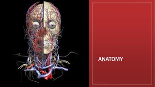 ANATOMY
 