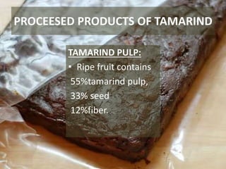 PROCEESED PRODUCTS OF TAMARIND
TAMARIND PULP:
• Ripe fruit contains
55%tamarind pulp,
33% seed
12%fiber.
 