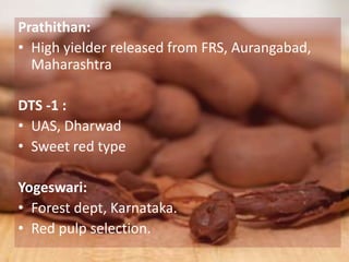 Prathithan:
• High yielder released from FRS, Aurangabad,
Maharashtra
DTS -1 :
• UAS, Dharwad
• Sweet red type
Yogeswari:
• Forest dept, Karnataka.
• Red pulp selection.
 