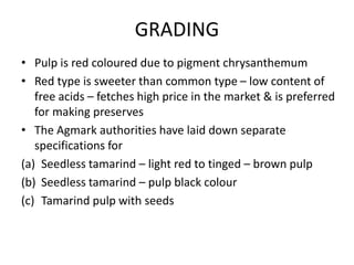 GRADING
• Pulp is red coloured due to pigment chrysanthemum
• Red type is sweeter than common type – low content of
free acids – fetches high price in the market & is preferred
for making preserves
• The Agmark authorities have laid down separate
specifications for
(a) Seedless tamarind – light red to tinged – brown pulp
(b) Seedless tamarind – pulp black colour
(c) Tamarind pulp with seeds
 