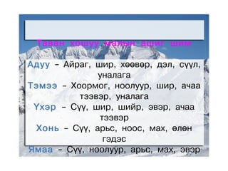Òàâàí õîøóó ìàëûí àøèã øèì

Àäóó – Àéðàã, øèð, õººâºð, äýë, ñ¿¿ë,
              óíàëàãà
Òýìýý – Õîîðìîã, íîîëóóð, øèð, à÷àà
          òýýâýð, óíàëàãà
 ¯õýð – Ñ¿¿, øèð, øèéð, ýâýð, à÷àà
               òýýâýð
 Õîíü – Ñ¿¿, àðüñ, íîîñ, ìàõ, ºëºí
                ãýäýñ
ßìàà – Ñ¿¿, íîîëóóð, àðüñ, ìàõ, ýâýð
 