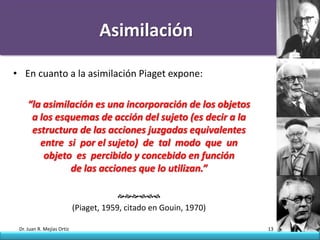 Asimilación

• En cuanto a la asimilación Piaget expone:

     “la asimilación es una incorporación de los objetos
      a los esquemas de acción del sujeto (es decir a la
      estructura de las acciones juzgadas equivalentes
        entre si por el sujeto) de tal modo que un
         objeto es percibido y concebido en función
               de las acciones que lo utilizan.”

                                        
                            (Piaget, 1959, citado en Gouin, 1970)

 Dr. Juan R. Mejías Ortiz                                           13
 