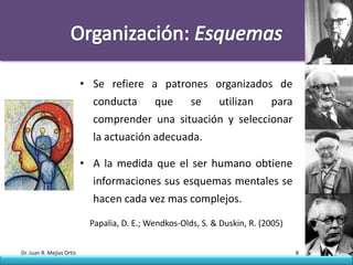 • Se refiere a patrones organizados de
                             conducta     que    se utilizan   para
                             comprender una situación y seleccionar
                             la actuación adecuada.

                           • A la medida que el ser humano obtiene
                             informaciones sus esquemas mentales se
                             hacen cada vez mas complejos.

                            Papalia, D. E.; Wendkos-Olds, S. & Duskin, R. (2005)


Dr. Juan R. Mejías Ortiz                                                           8
 