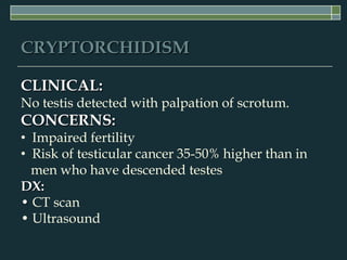 Testicular Disorders & Erectile Dysfunction | PPT