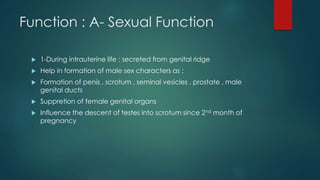 Function : A- Sexual Function 
 1-During intrauterine life : secreted from genital ridge 
 Help in formation of male sex characters as : 
 Formation of penis , scrotum , seminal vesicles , prostate , male 
genital ducts 
 Suppretion of female genital organs 
 Influence the descent of testes into scrotum since 2nd month of 
pregnancy 
 