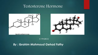 Testosterone Hormone 
C19H28O2 
By : Ibrahim Mahmoud Gehad Fathy 
 