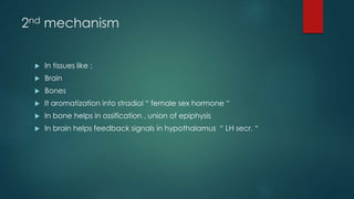 2nd mechanism 
 In tissues like : 
 Brain 
 Bones 
 It aromatization into stradiol “ female sex hormone “ 
 In bone helps in ossification , union of epiphysis 
 In brain helps feedback signals in hypothalamus “ LH secr. “ 
 