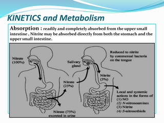 KINETICS and Metabolism
Absorption : readily and completely absorbed from the upper small
intestine , Nitrite may be absorbed directly from both the stomach and the
upper small intestine.
 