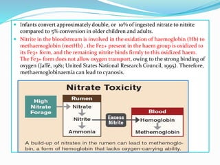  Infants convert approximately double, or 10% of ingested nitrate to nitrite
compared to 5% conversion in older children and adults.
 Nitrite in the bloodstream is involved in the oxidation of haemoglobin (Hb) to
methaemoglobin (metHb) , the Fe2+ present in the haem group is oxidized to
its Fe3+ form, and the remaining nitrite binds firmly to this oxidized haem.
The Fe3+ form does not allow oxygen transport, owing to the strong binding of
oxygen (Jaffé, 1981; United States National Research Council, 1995). Therefore,
methaemoglobinaemia can lead to cyanosis.
 