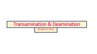 Transamination & Deamination
Dr Rohini C Sane
 