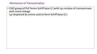 Mechanism of Transamination
• CHO group of PLP forms Schiff base (1 )with Lys residue of transaminase
with imine linkage
Lys displaced by amino acid to form Schiff base (2 )
 