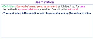 Deamination
• Definition : Removal of amino group as ammonia which is utilized for urea
formation & carbon skeletons are used for formation the keto acids .
• Transamination & Deamination take place simultaneously.(Trans deamination )
 