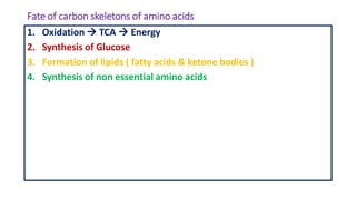 Fate of carbon skeletons of amino acids
1. Oxidation  TCA  Energy
2. Synthesis of Glucose
3. Formation of lipids ( fatty acids & ketone bodies )
4. Synthesis of non essential amino acids
 