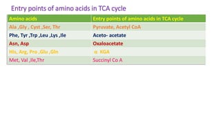 Entry points of amino acids in TCA cycle
Amino acids Entry points of amino acids in TCA cycle
Ala ,Gly , Cyst ,Ser, Thr Pyruvate, Acetyl CoA
Phe, Tyr ,Trp ,Leu ,Lys ,Ile Aceto- acetate
Asn, Asp Oxaloacetate
His, Arg, Pro ,Glu ,Gln α KGA
Met, Val ,Ile,Thr Succinyl Co A
 