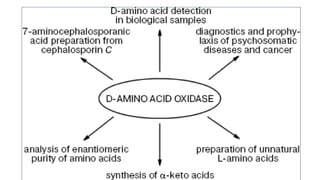 Transamination & deamination