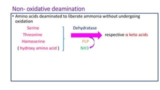 Non- oxidative deamination
• Amino acids deaminated to liberate ammonia without undergoing
oxidation
Serine Dehydratase
Threonine respective α keto acids
Homoserine PLP
( hydroxy amino acid ) NH3
 