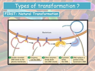 Types of transformation ?
FIRST: Natural Transformation
 