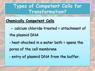 Types of Competent Cells for
          Transformation?
Chemically Competent Cells

  - calcium chloride-treated = attachment of
 the plasmid DNA

 - heat-shocked in a water bath = opens the
 pores of the cell membrane

 - entry of plasmid DNA from the buffer.
 