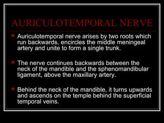 AURICULOTEMPORAL NERVE
   Auriculotemporal nerve arises by two roots which
    run backwards, encircles the middle meningeal
    artery and unite to form a single trunk.

   The nerve continues backwards between the
    neck of the mandible and the sphenomandibular
    ligament, above the maxillary artery.

   Behind the neck of the mandible, it turns upwards
    and ascends on the temple behind the superficial
    temporal veins.
 