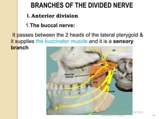 Trigeminal nerve 1 | PPT