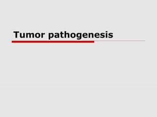 Tumor pathogenesis
 