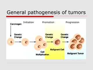 General pathogenesis of tumors
Initiation Promotion Progression
 