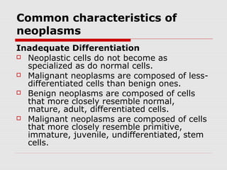 Common characteristics of
neoplasms
Inadequate Differentiation
 Neoplastic cells do not become as
specialized as do normal cells.
 Malignant neoplasms are composed of less-
differentiated cells than benign ones.
 Benign neoplasms are composed of cells
that more closely resemble normal,
mature, adult, differentiated cells.
 Malignant neoplasms are composed of cells
that more closely resemble primitive,
immature, juvenile, undifferentiated, stem
cells.
 