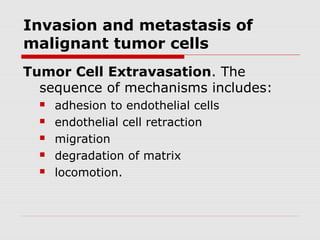 Invasion and metastasis of
malignant tumor cells
Tumor Cell Extravasation. The
sequence of mechanisms includes:
 adhesion to endothelial cells
 endothelial cell retraction
 migration
 degradation of matrix
 locomotion.
 