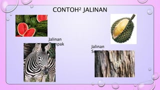 CONTOH² JALINAN 
Jalinan 
Tampak 
Jalinan 
Sentuh 
 