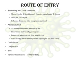 Route of entry
• Respiratory tract (Most common)
– Multiply locally  Blood/Lymph Extensive multiplication  Disease.
– Small pox, chicken pox
– Influenza , Rhinovirus (stay in respiratory tract itself)
• Alimentary tract
– All enveloped viruses are destroyed by bile
– Rhinovirus is inactivated by gastric juice
– Enterovirus, adenovirus, reo virus, hepatitis virus
– Some multiply in GIT and transported to target organs (eg.Polio virus)
• Genital tract
• Conjunctiva
• Skin
• Vertical transmission – Mother to baby
 