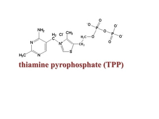 thiamine pyrophosphate (TPP)
 