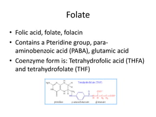 Folate
• Folic acid, folate, folacin
• Contains a Pteridine group, para-
aminobenzoic acid (PABA), glutamic acid
• Coenzyme form is: Tetrahydrofolic acid (THFA)
and tetrahydrofolate (THF)
 