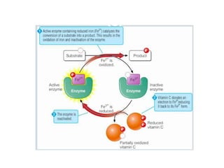 Water soluble vitamins